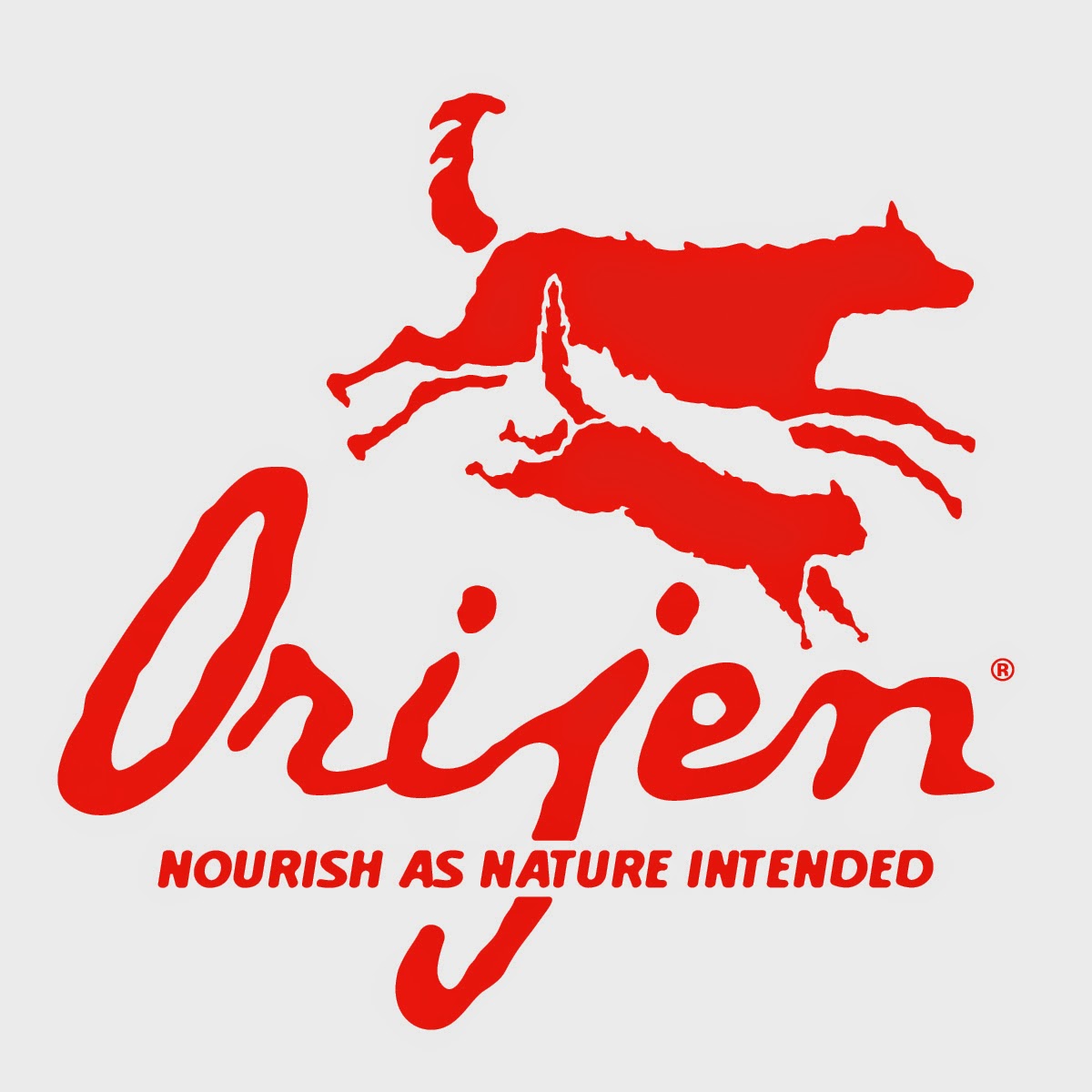 Logo Orijen 2